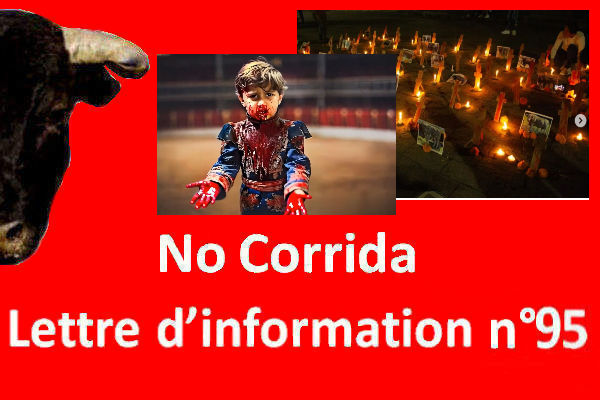 LINC n°95 – Lettre d’information No Corrida – 1er décembre 2024

nocorrida.com/2024/12/01/lin…