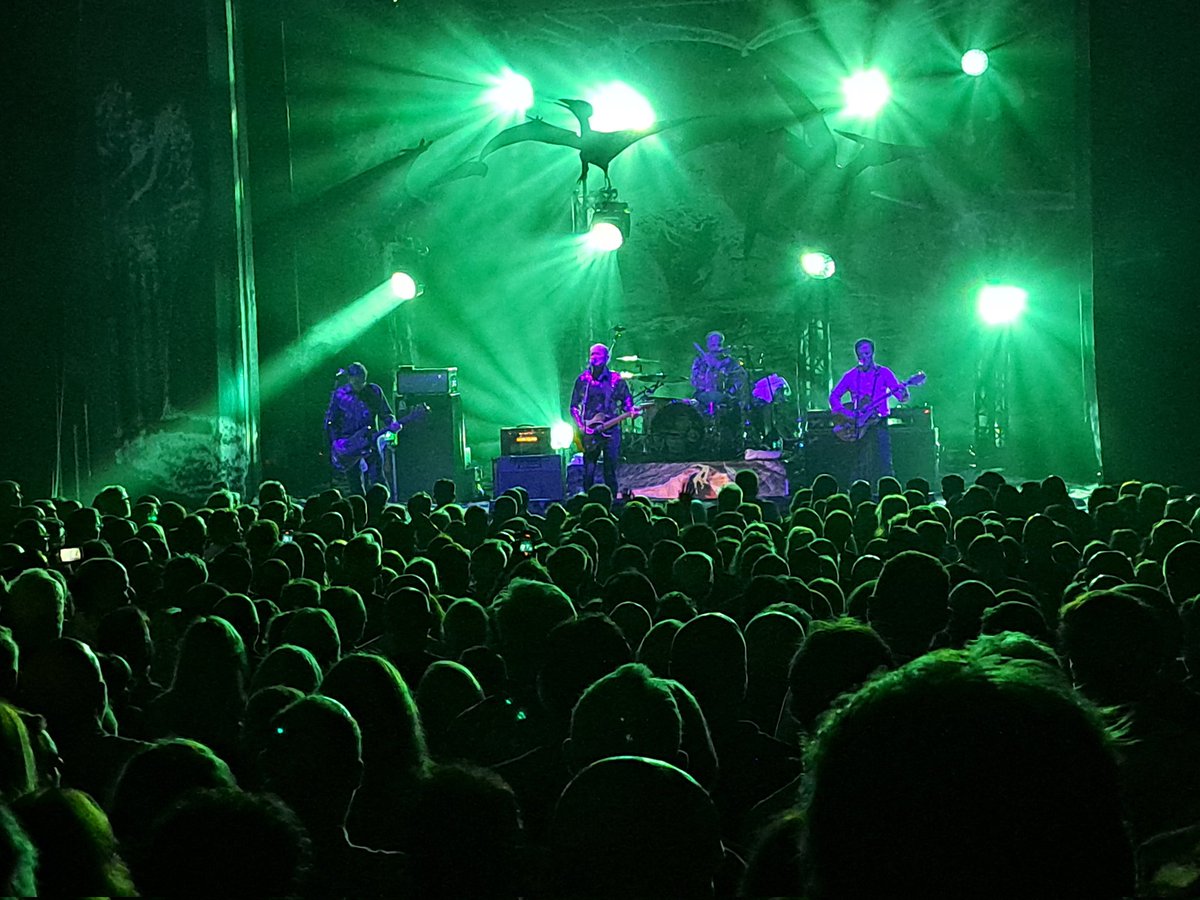 EarlofMinto's tweet photo. More Hoodoo Gurus https://t.co/OtNCmlv3mA