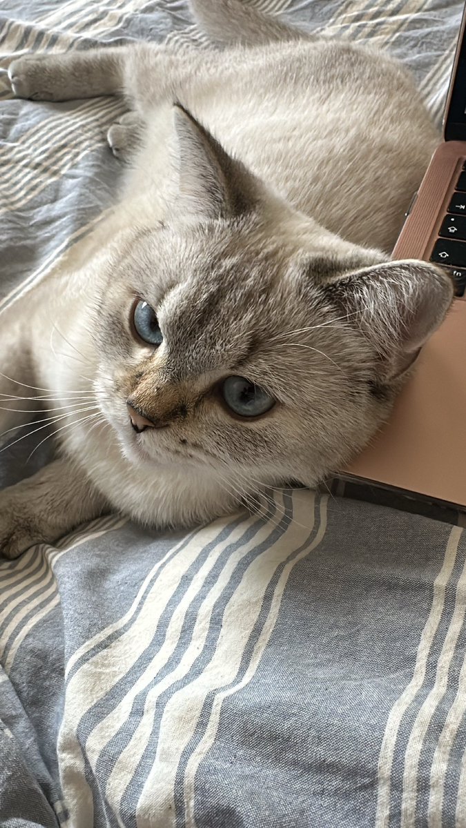 Bi ısırabilir miyim annecim