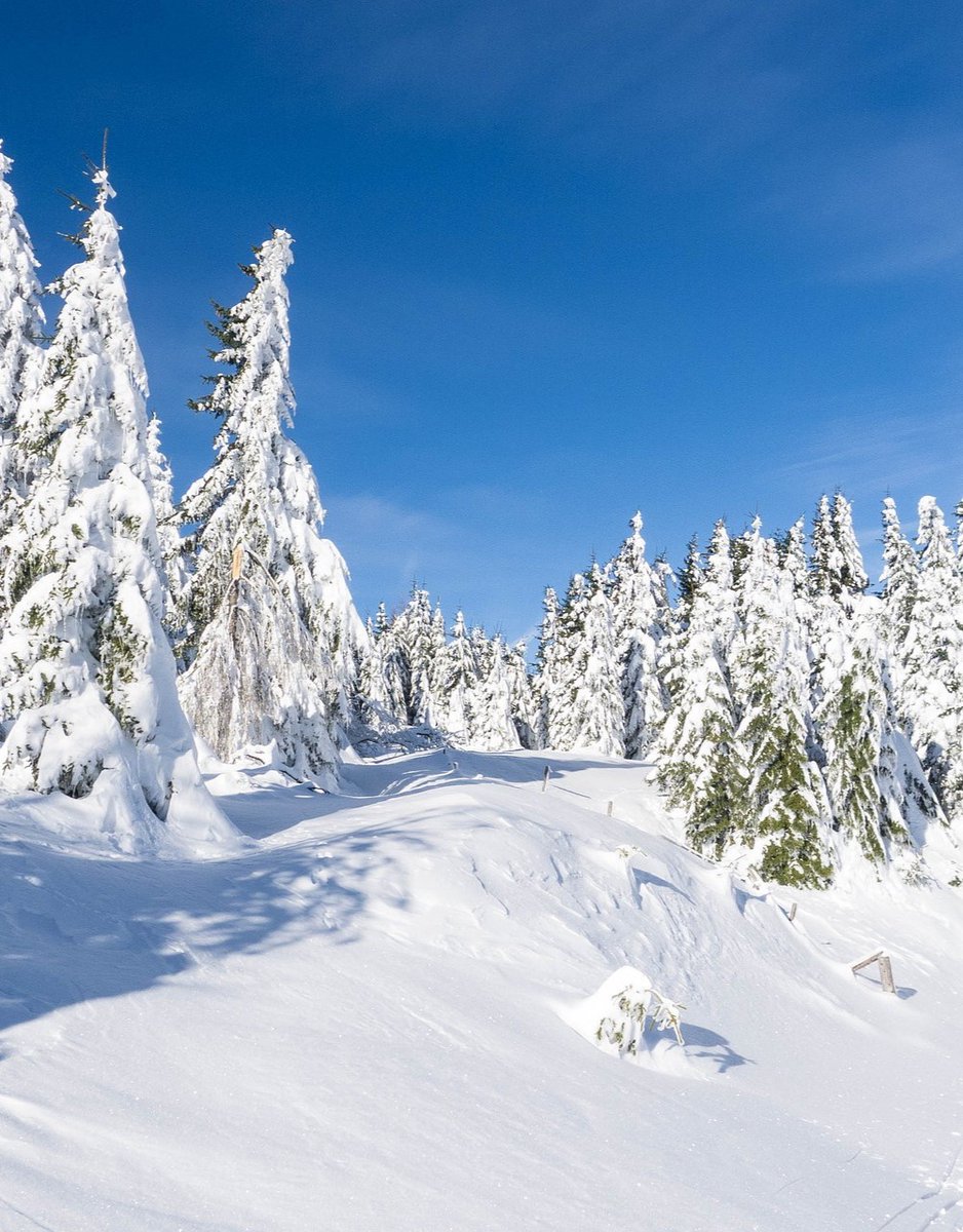 🔆🌞☀️❄️☃️🌨️🌲❄️✨💞