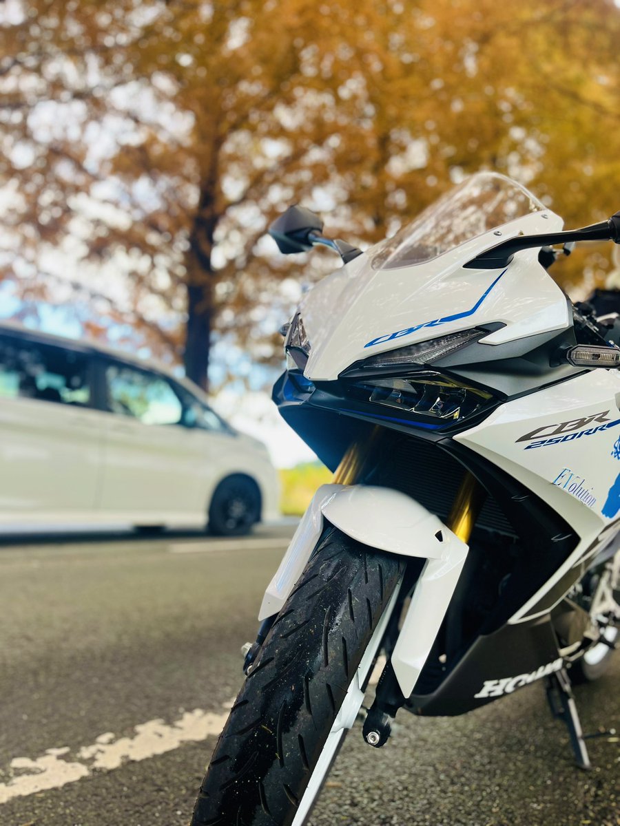 cbr250_133's tweet photo. 初関西はビワイチ！
会社の先輩に誘ってもらいました✨

景色が最高でした😊

#あのベンチ #メタセコイア並木 
#白鬚神社
#ビワイチ
#cbr250rr #yzfr6
#バイク好きと繋がりたい 
#Eevee https://t.co/ieaWVxKq2I