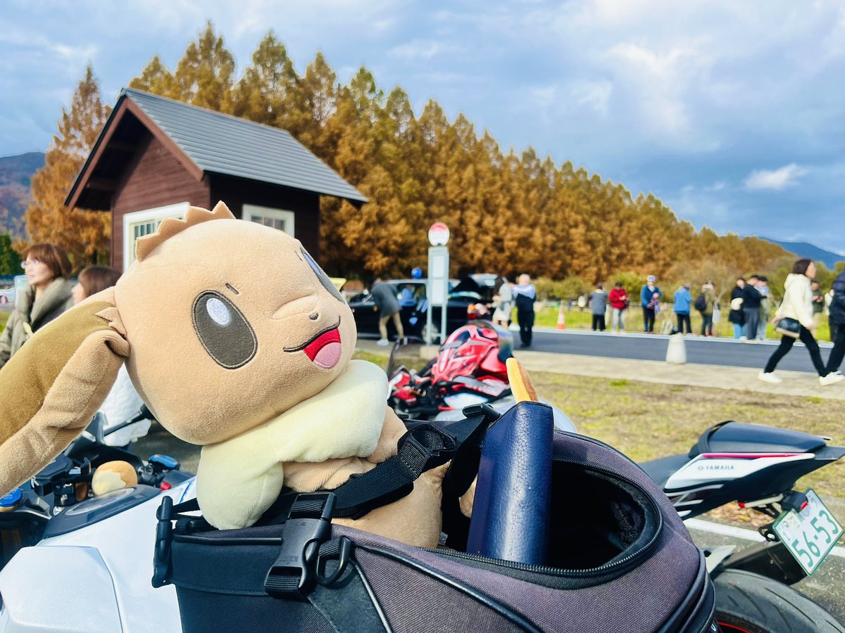 cbr250_133's tweet photo. 初関西はビワイチ！
会社の先輩に誘ってもらいました✨

景色が最高でした😊

#あのベンチ #メタセコイア並木 
#白鬚神社
#ビワイチ
#cbr250rr #yzfr6
#バイク好きと繋がりたい 
#Eevee https://t.co/ieaWVxKq2I