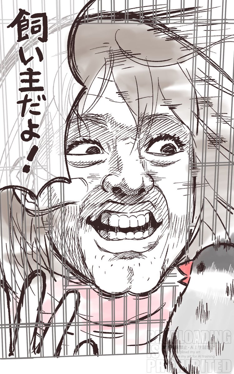 文鳥あるある12 

「求愛」

#漫画が読めるハッシュタグ 