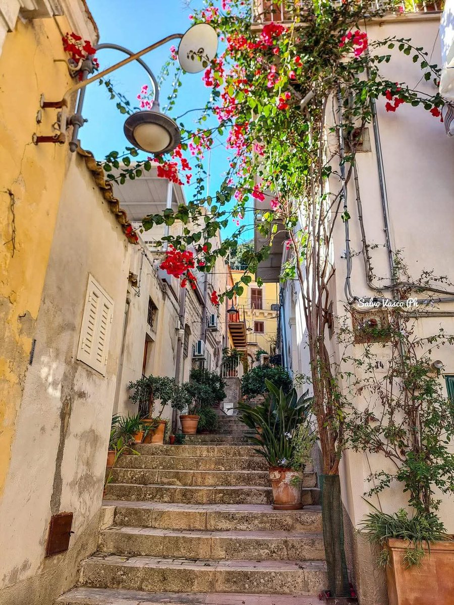 ItalyInTheHeart's tweet photo. 🇮🇹 Via Galfo, Modica Bassa, Ragusa, Sicilia
📷 Salvo Vasco

#viagalfo #modicabassa #ragusa #sicilia #sicily #amazingphoto #photooftheday #travel #travelplace #travelphoto #italy #italytrip #italytravel #italia #italytour #italian #italytourism #italyphotographer #italyintheheart https://t.co/St9y1tLEqn