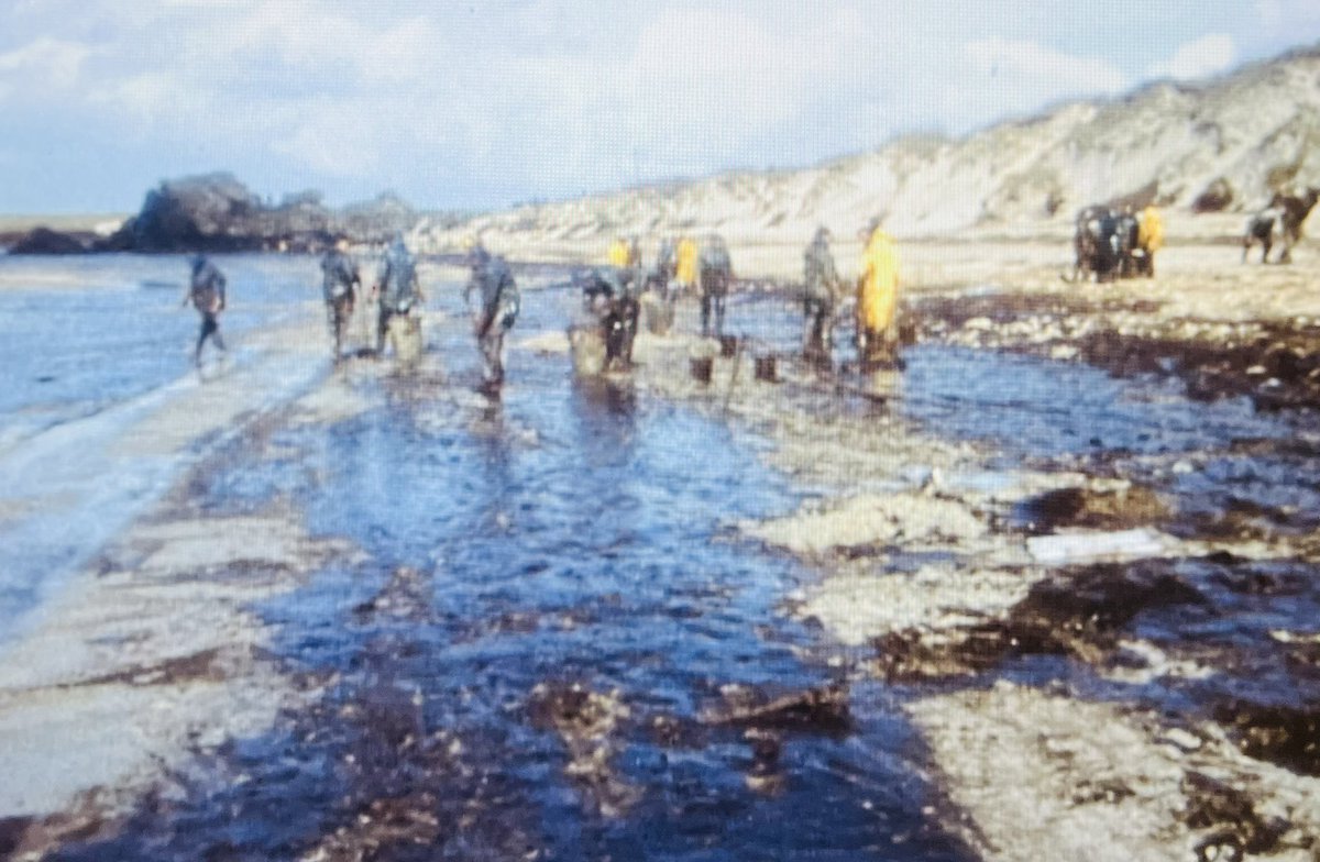 En 1978, l’Amoco Cadiz fait naufrage et déverse 220000 tonnes de pétrole brut sur les côtes du #Finistère. 
Un petit maire breton se fait une promesse : trouver le responsable de cette mer de mazout, et le faire payer. 

🔵 Contre vents et marée noire
<a href="/13h15/">13h15 France 2</a> <a href="/LaurentDelahous/">Laurent Delahousse</a>