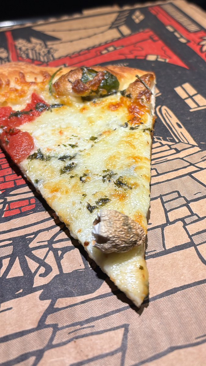 Drewcifer (@sandshrew956) on Twitter photo 