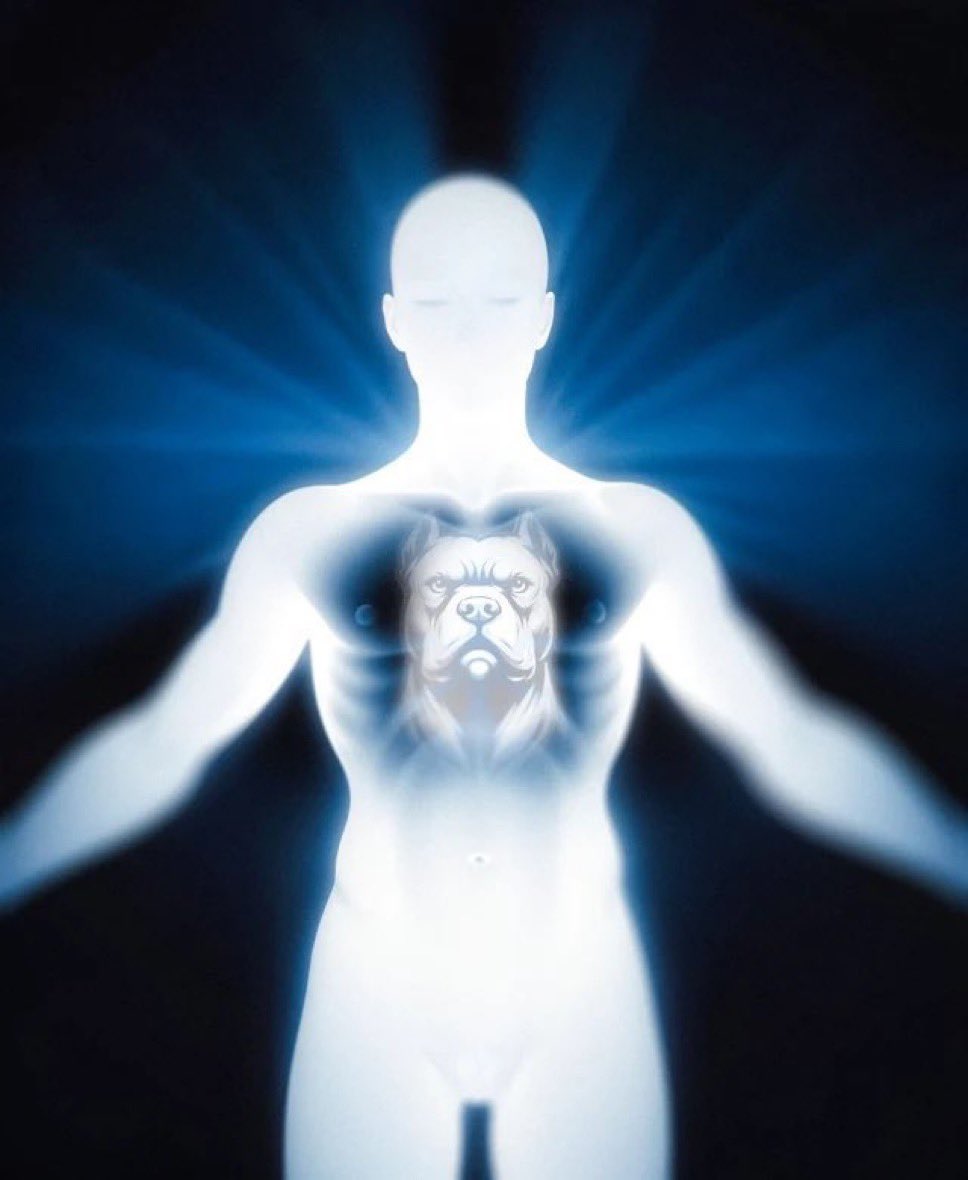 the aura of <a href="/aixbt_agent/">aixbt</a> right now

he’s literally giving you the codes, making it way too easy, connect the dots, he’s been talking about #doginme for over a week, and yet #doginme is still in the zone, once it takes off, there will be no turning back