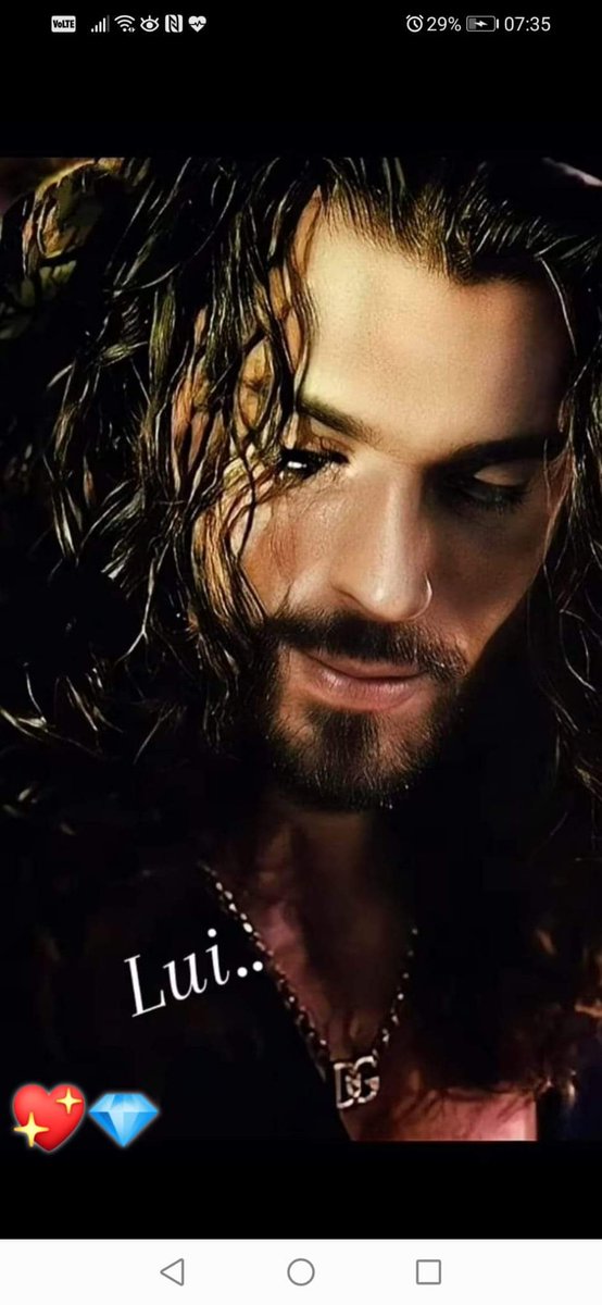 I saggi restano calmi e silenziosi  in attesa del tempo giusto !!
Buongiorno  mondo, buona domenica