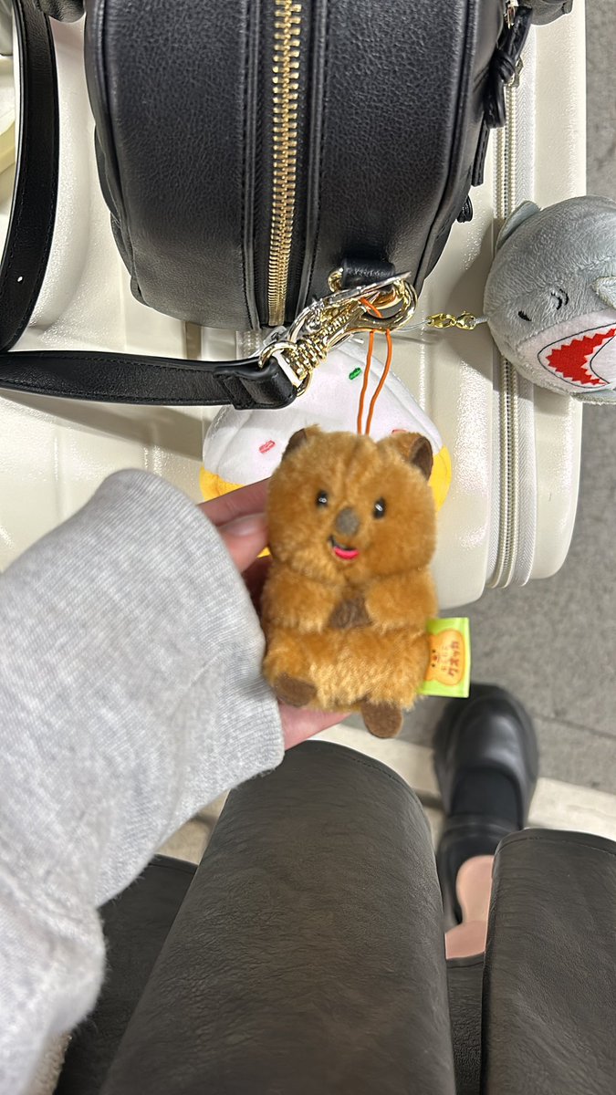 はすちゃ🐿 tweet media