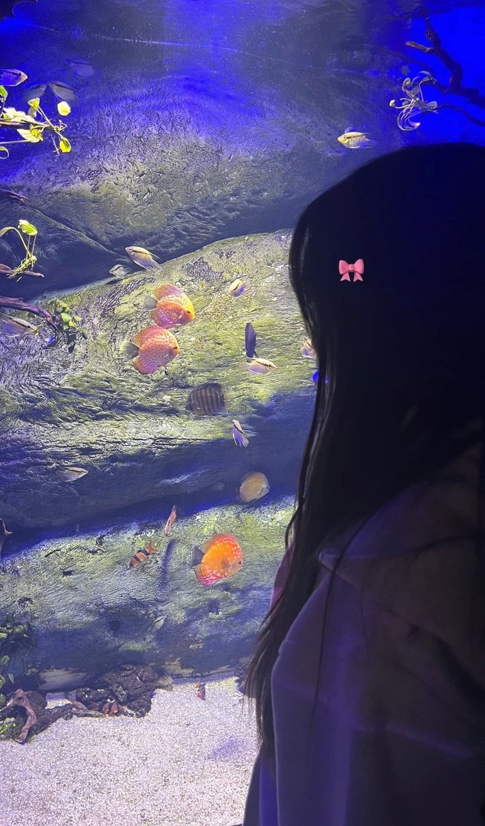 또등장한아쿠아리움 더긴머리ver.