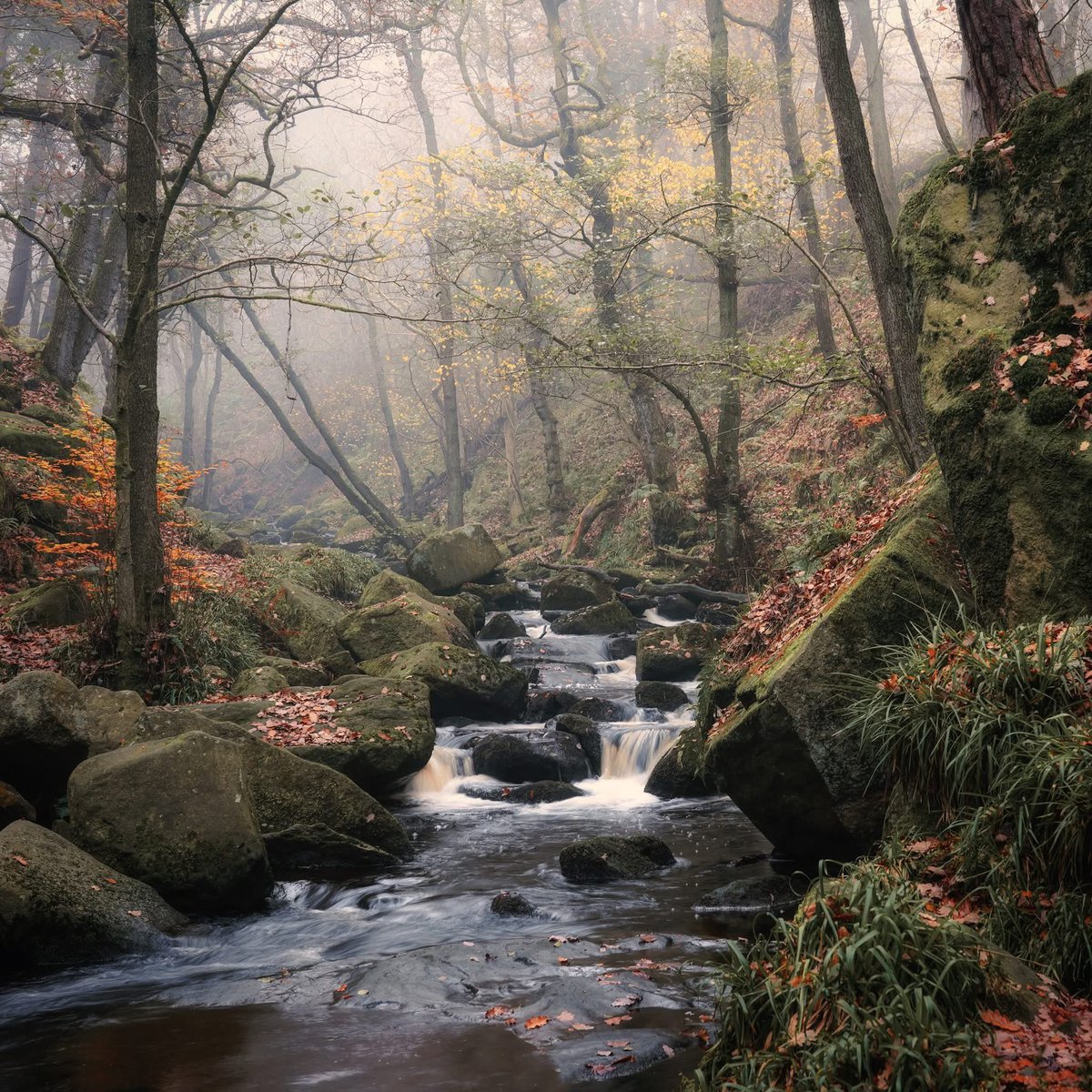 A farewell to autumn as we move on, the final splashes of colour now fading in the woods. This was a perfectly still morning, no haste or pressure, no noise but the rush and bubble of water. I stayed long after I'd taken the shot, watching and listening and breathing it all in.