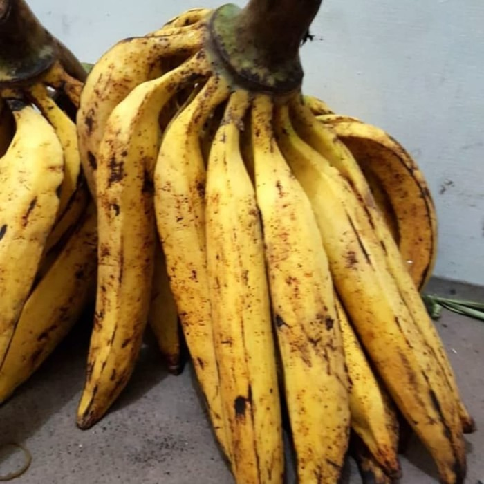 Willdackg's tweet photo. @RedCap_io 0x23ad6f23e607e5a8a0EaE868e9fc14CEC985837f

lets goo banana to the moonn!! https://t.co/kUbdZ8Fj0U