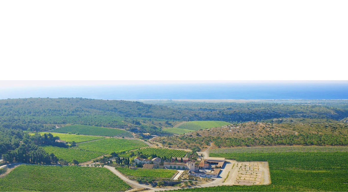 I dropped by a regional wine store the day before Thanksgiving, and the place was packed. And not just with people grabbing a single bottle have to go with the turkey. #foodwinespirits #wine #winereviews
santemagazine.com/?p=26641