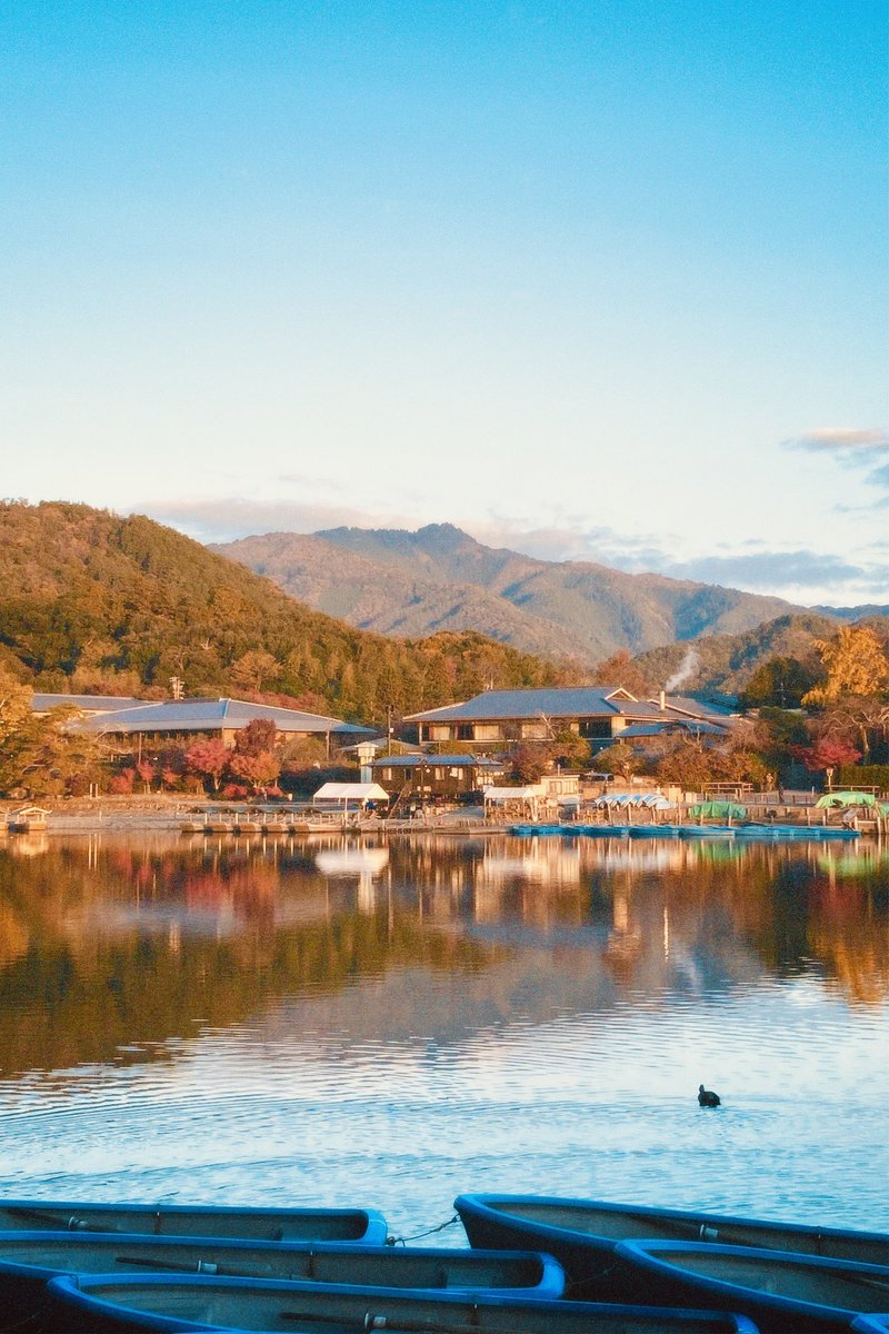 jadenwilliams_1's tweet photo. Autumn in Kyoto
#autumn #fall #autumnleaves #japanfall #japanautumn #kyoto #kyotoautumn #ๅตๅฑฑ #ไบฌ้ฝ #็ง #็ด
่ #wallpaper https://t.co/4HMOyRBmHg