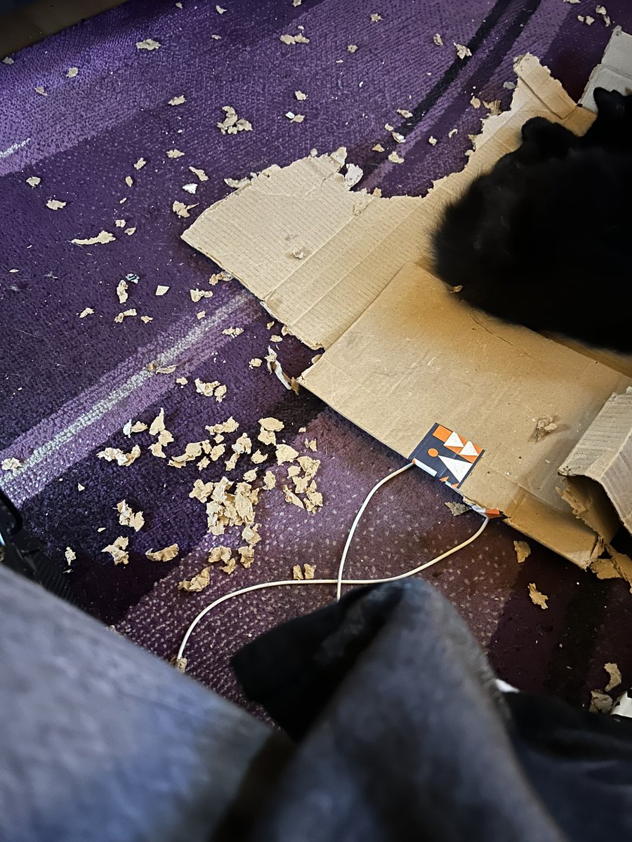 natashalittle55's tweet image. This was an intact box #ivyboo has a thing for taking boxes and destroying them in around an hour 😂😂I love her dearly but for fuck sake swept it up before bed woke up and yeah….great thanks Ivy that’s mustard.♥️ #cats #crazyCats #love #CatsOfTwitter love the way she lays in
