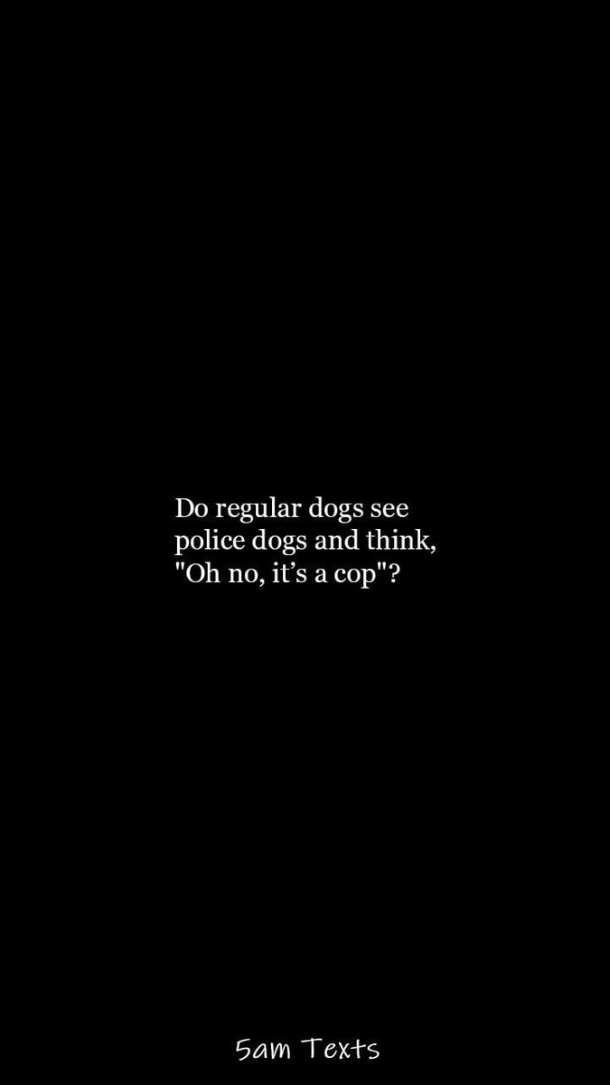 sally_saidso's tweet photo. If your dog called you from jail, what would their crime be?? https://t.co/hnka6NigG6