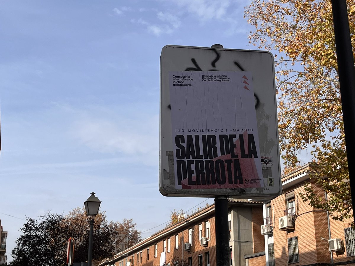 Serendipia tweet media