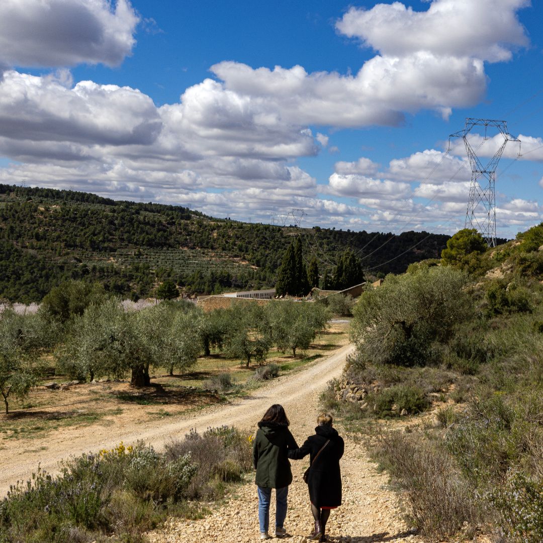 olicatessen's tweet image. Racons de Els Torms 
- 
Rincones en #elstorms 
- 
Hideouts of Els Torms 

#racons_de_lleida #monrural #turismeslow #visitarural #aralleida