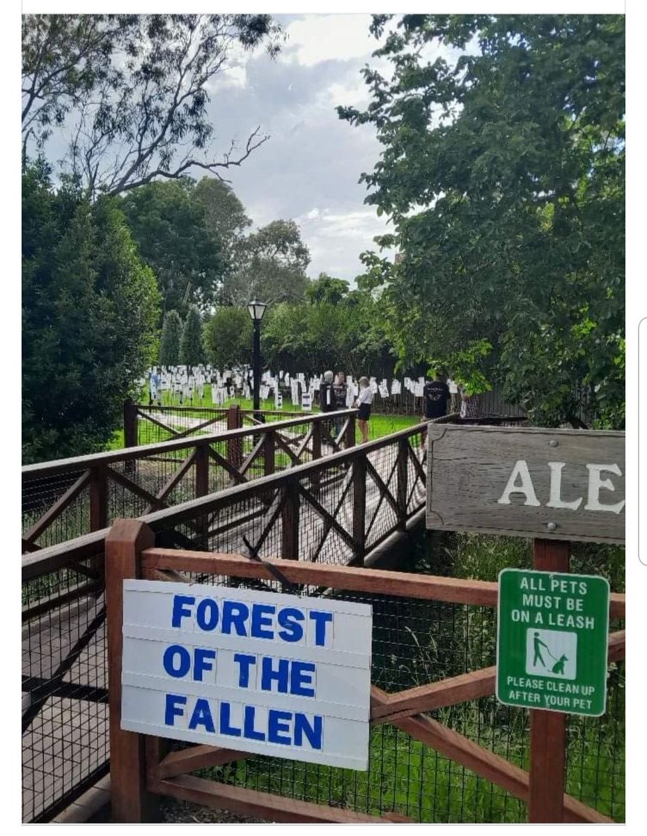 tom35345637's tweet photo. #jabinjuriesglobalday #Forestofthefallen
皆様のご記憶にはまだ新しいかと思いますが
豪🇦🇺から日本を訪れ、日本の草の根の方々に感動して帰ってきたピーターさんが、地元・南オーストラリア州のアデレード内の公園にて開催した『被害者の森』の写真をシェアしてくれました　沢山の人が訪れたそうです https://t.co/bgPl9Qxxil