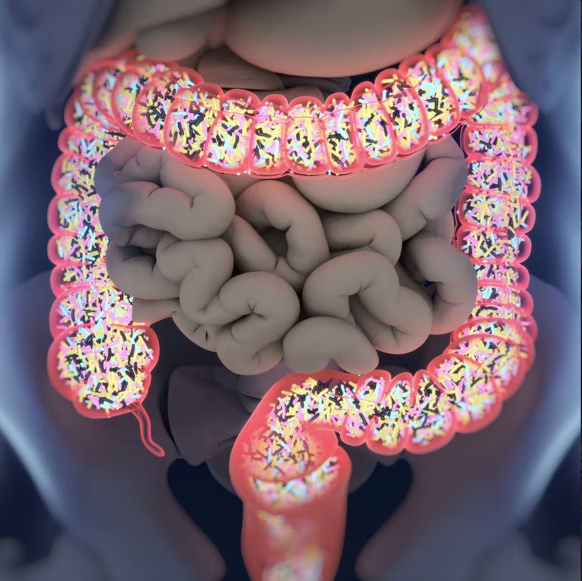 Your gut is killing you:

• Acne
• Diabetes 
• Mood swings 
• Chronic fatigue

Your stomach is to blame.

Here are 7 actions you can take to fix your gut today (bookmark this):