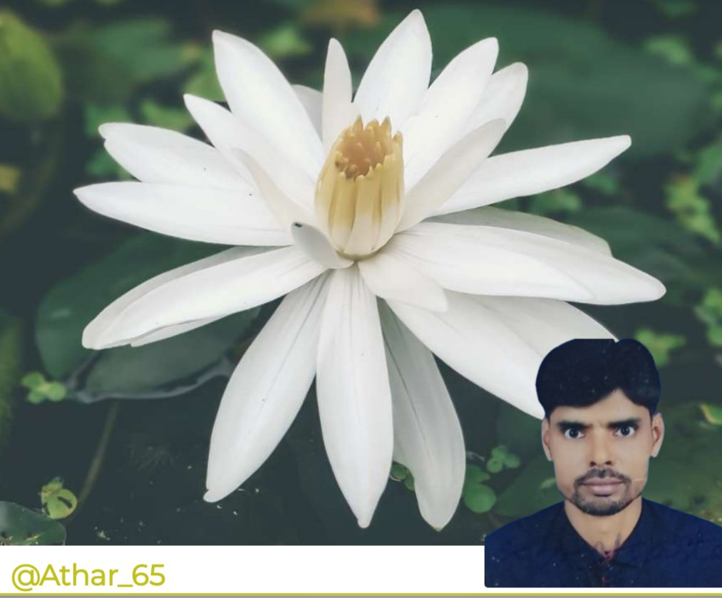 MD___0786's tweet image. रिश्ते तोड़ने तो नहीं चाहिए, लेकिन जहां
 कदर न हो वहां निभाना भी नहीं चाहिए !!