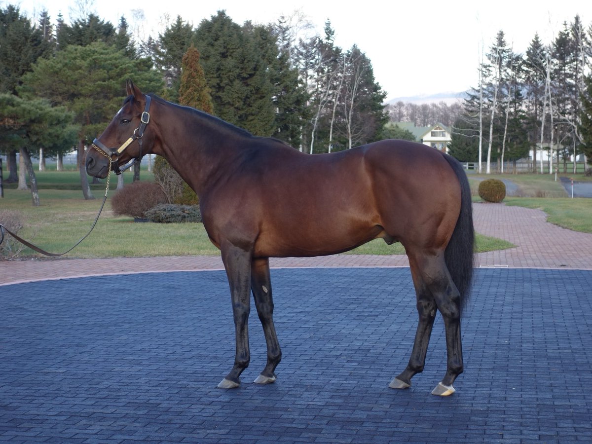 shigeki yusa tweet media