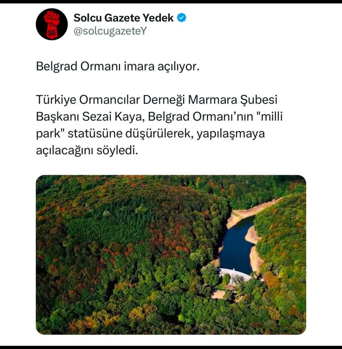 Prof. Dr. Bengi BAŞER (@bengibaser) on Twitter photo 🩸İnsana, hayvana,ağaca düşmanlığınızın sonu yok mu artık?
Doymayacak mısınız?
#BelgradOrmanımızaDokunma 🩸İnsana, hayvana,ağaca düşmanlığınızın sonu yok mu artık?
Doymayacak mısınız?
#BelgradOrmanımızaDokunma