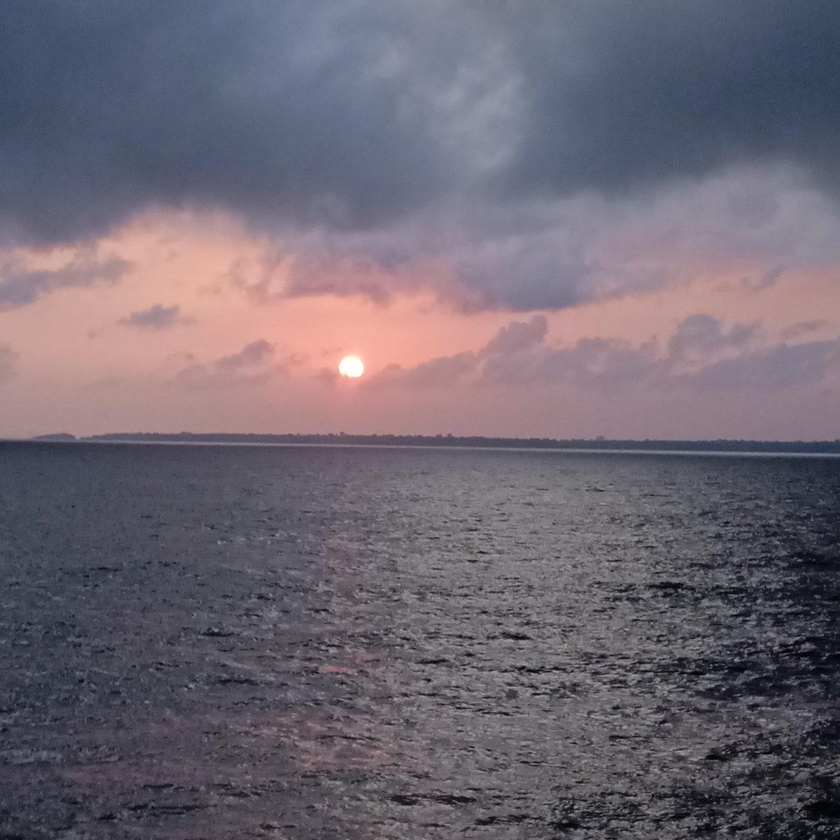 red_baobab's tweet image. Bom día Belém! #foss4g2024 #sotmlatam2024 #bigriver