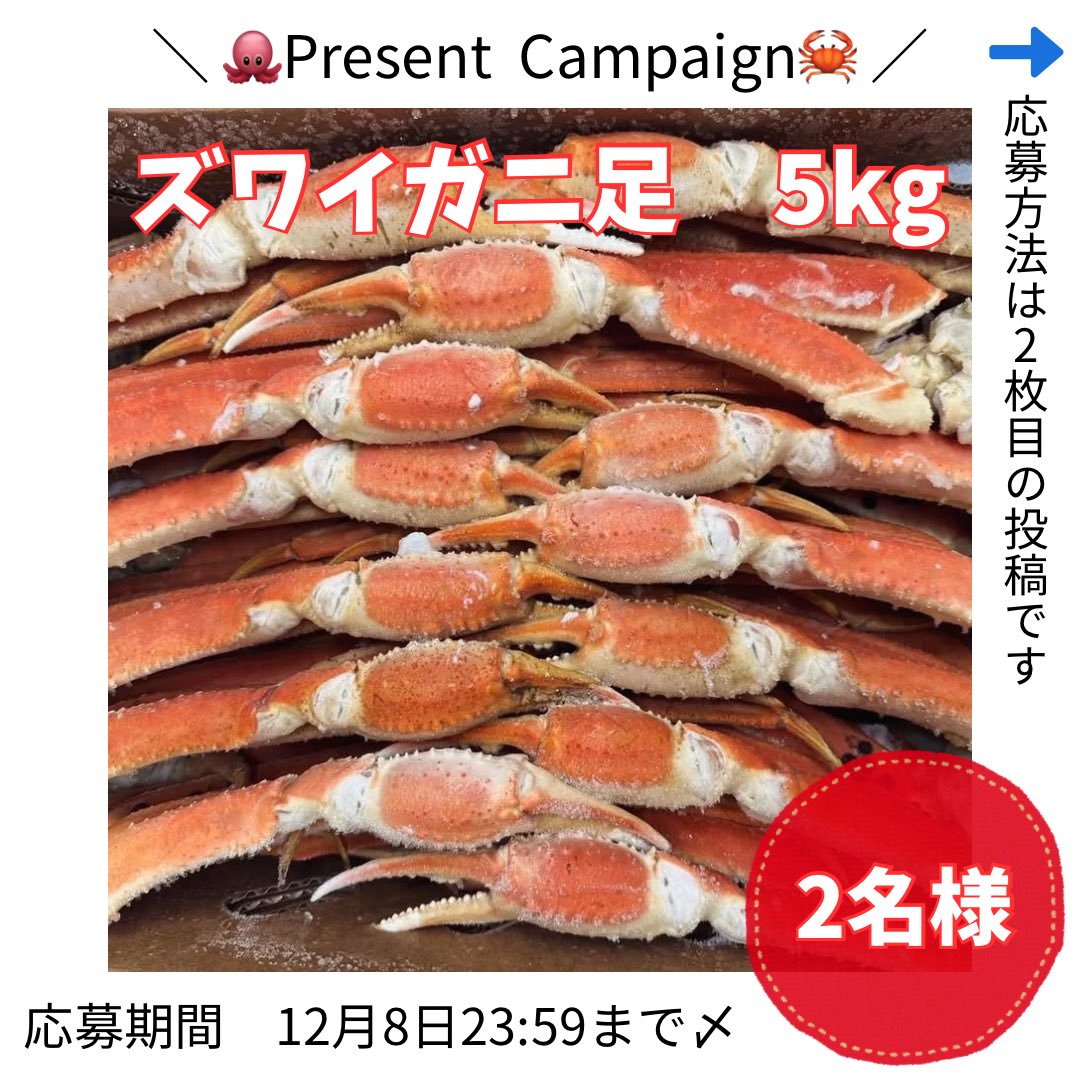 kita_kani01's tweet photo. 🐙⁡最北端漁師@k🐳です🦀
⁡
年末年始企画🎁"
⁡
　　＼ズワイガニ足5kg  2️⃣名様🦀／
⁡
どしどしお待ちしてます🥰

応募方法
   @kita_kani01 
   @chibisuketek 
✓両アカウントフォロー
✓本投稿リポスト
⁡
⚠️当選確率🆙
Instagramアカウントフォローで
当選確率２倍🎶
(プロフィールから✈️)
⬇️ https://t.co/AlL526mSYO