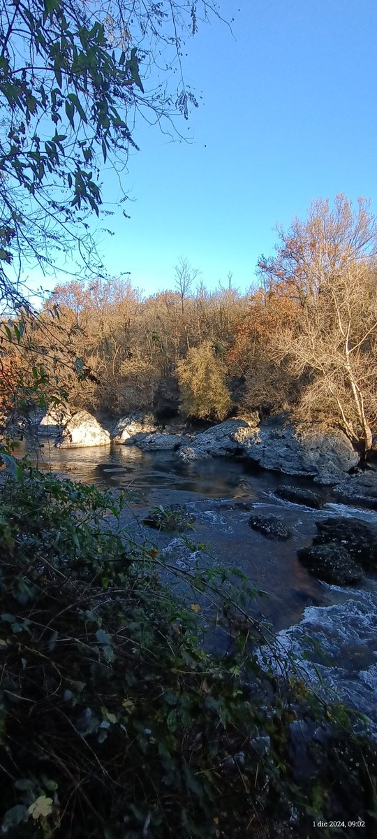 luigifoschini's tweet image. 🏃‍♂️
#runningtime
#iocorroqui