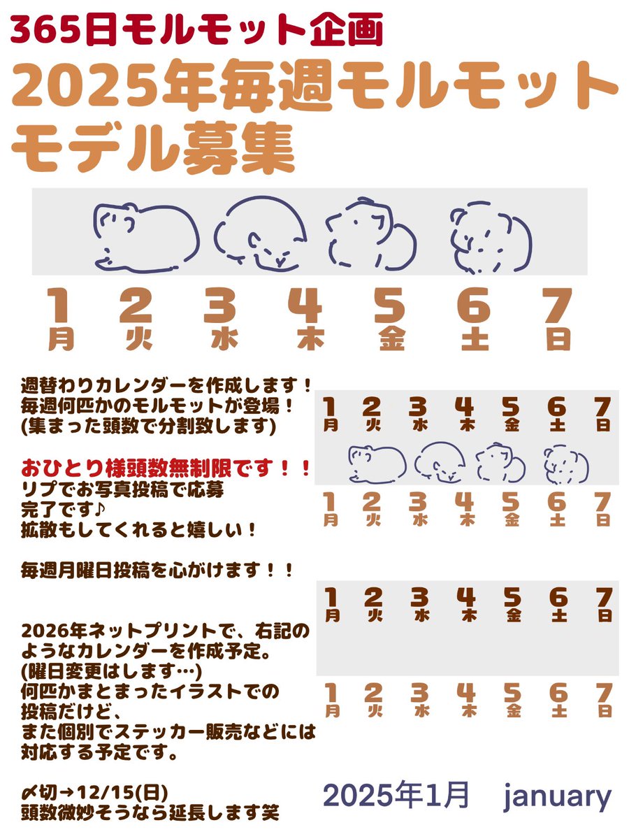 Licht/小野りひと🐹モルモットマルチクリエイター🐹 tweet media