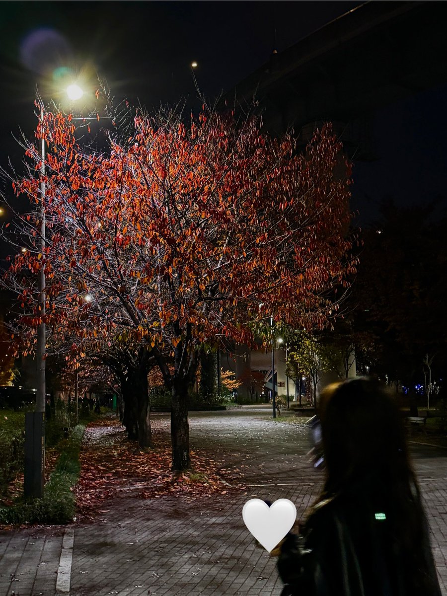 [#지아 🦜]
가을이였는데🍂 겨울이 돼버렸어☃️

#트라이비 #TRI_BE #Jia