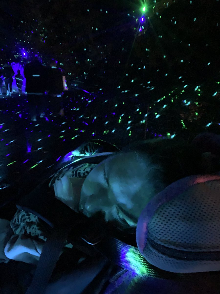 This time of year is great for sensory experiences and <a href="/BedgeburyP/">Bedgebury Pinetum - Forestry England</a> hit the spot.  Not too busy and the music was just right. It felt very calm.  Friendly staff on hand, a Changing Places facility and paths in great order.  Relaxed sessions too. A lovely festive treat. 😀 🎄