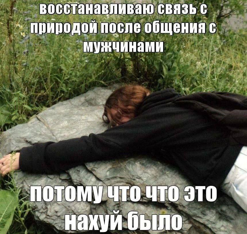 лин tweet media