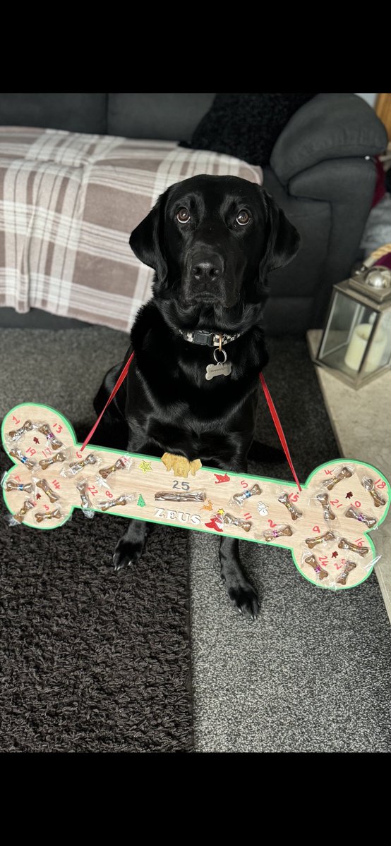 susan ball tweet media