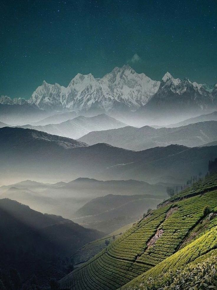 GoNorthEastIN's tweet photo. Darjeeling, West Bengal is really Beautiful 😍 https://t.co/PpNgyuMhvI