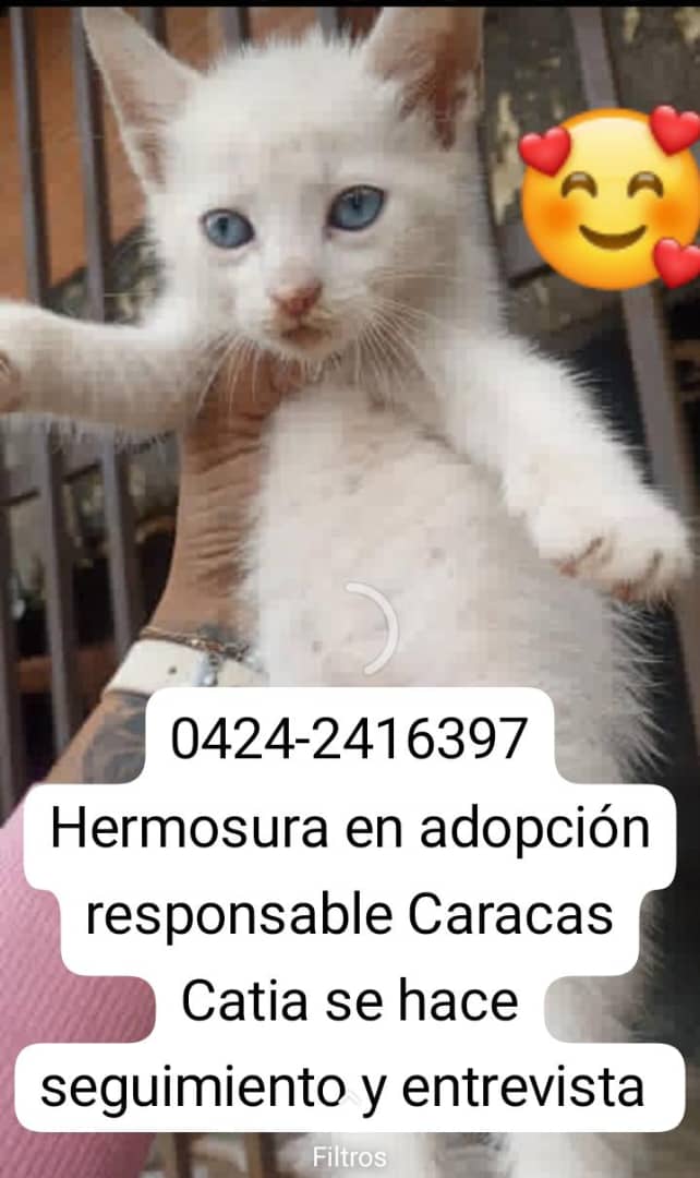 Información de Otro Grupo 👇👇👇 por favor darle máxima Difusión 🙏🙏🙏