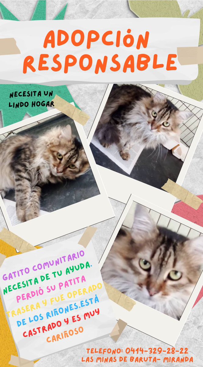 Difundiendo.... Información de Otro Grupo 👇👇👇🙏🙏🙏