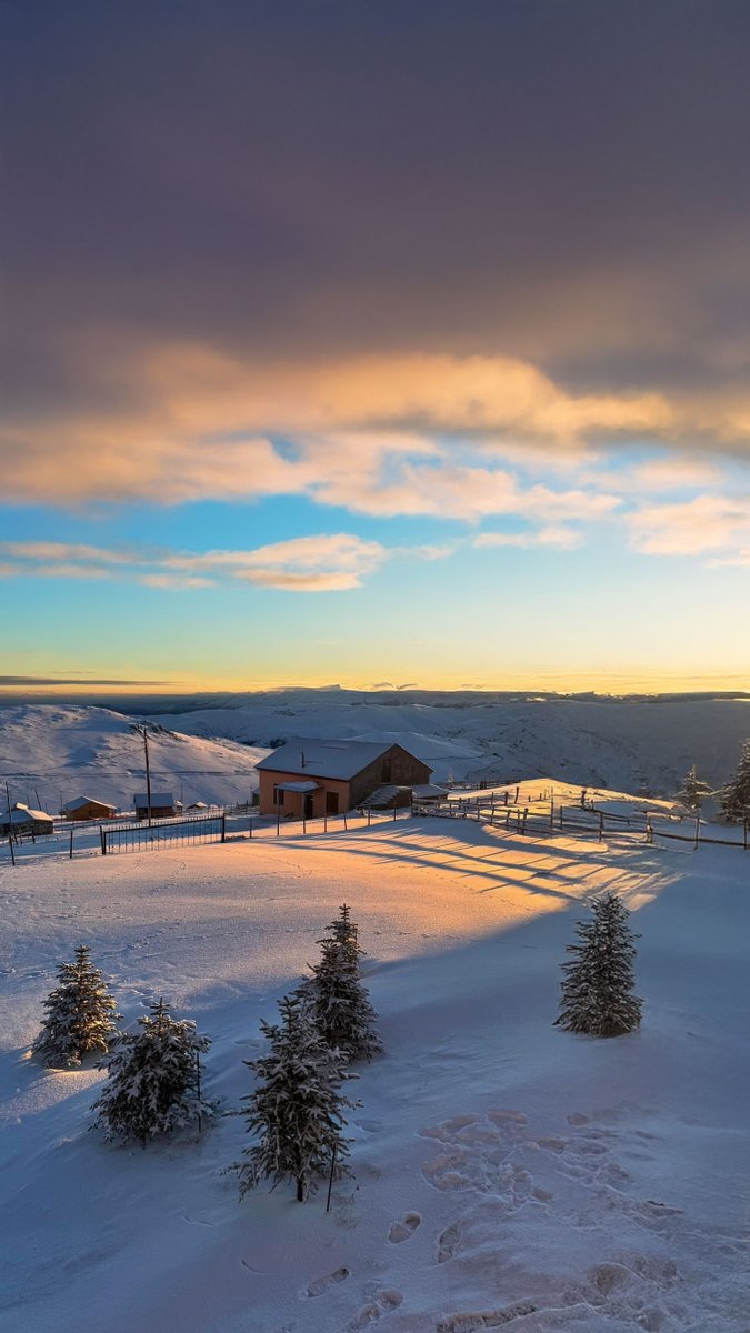byfreemad's tweet photo. Yahu, Trabzon'u olmayan ne yapıyor... https://t.co/CycTeYQkWc
