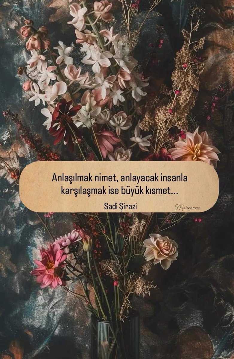 𝔞𝔩𝔟𝔞𝔩𝔦𝔞 (@birmahzunn) on Twitter photo 