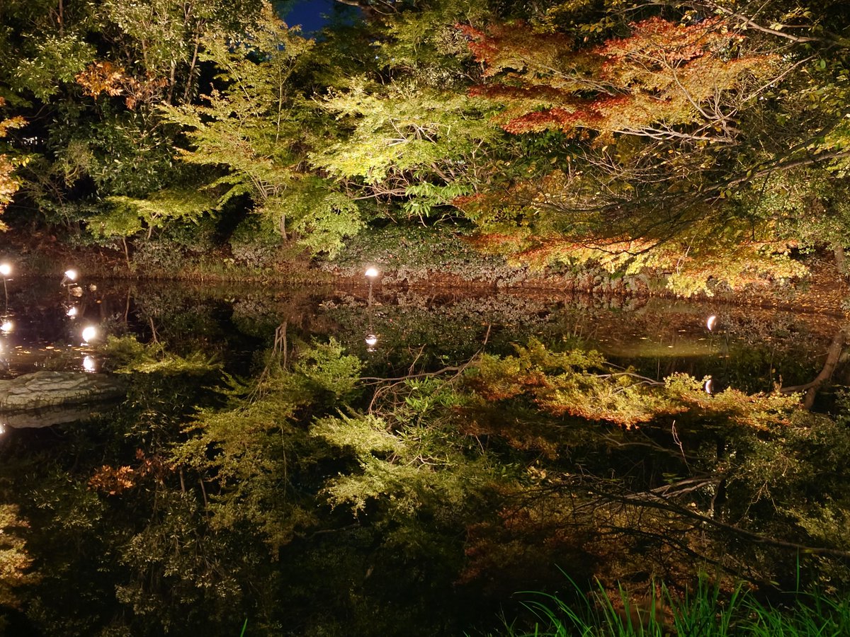 反射が綺麗すぎる