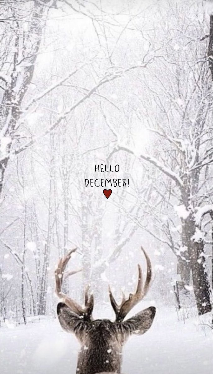 Bu anlayışlı olduğum son yıldı.😎
Herkese bol şans 👊🏻