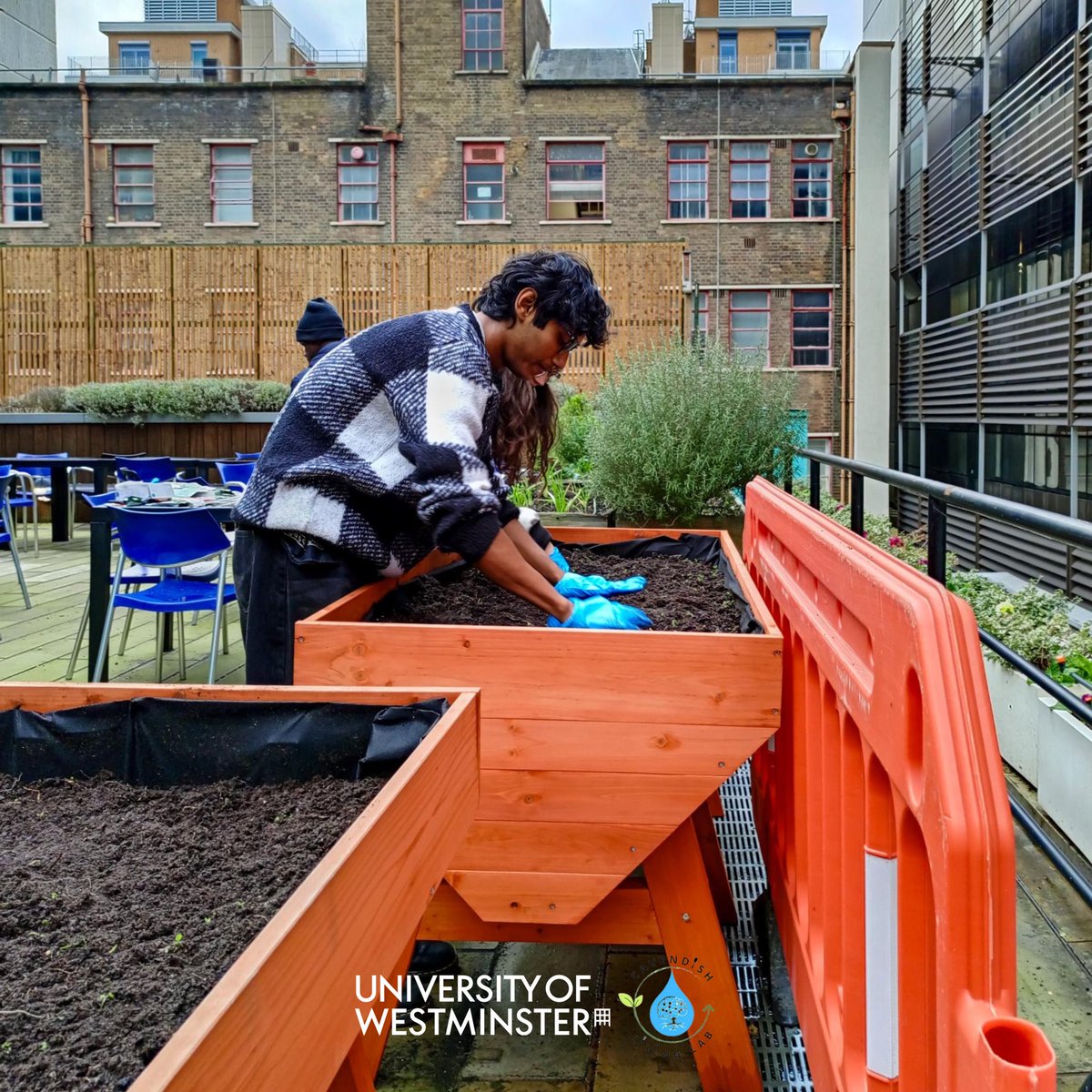 CavendishLab's tweet image. 🌱✨ This week, we celebrated 2 years of the Living Lab with a Winter Sowing Session at Cavendish Campus. 🌿

A huge thank you to everyone who joined us in planting seeds for a greener future. Your support made this milestone truly special! 💚

#LivingLab #Sustainability