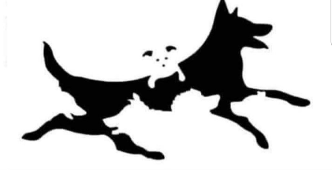 Brock Riddick tweet media