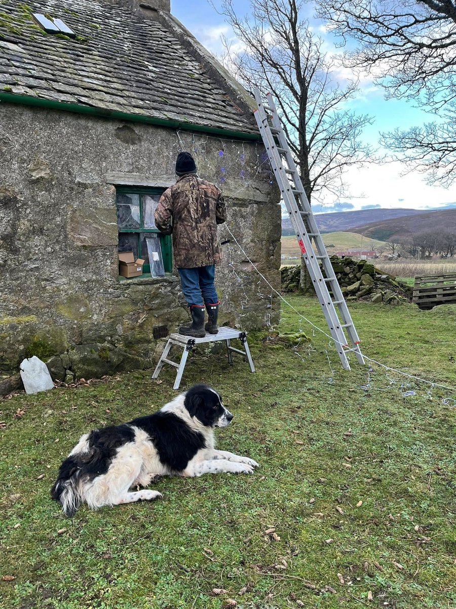 Adrian Tilsed tweet media