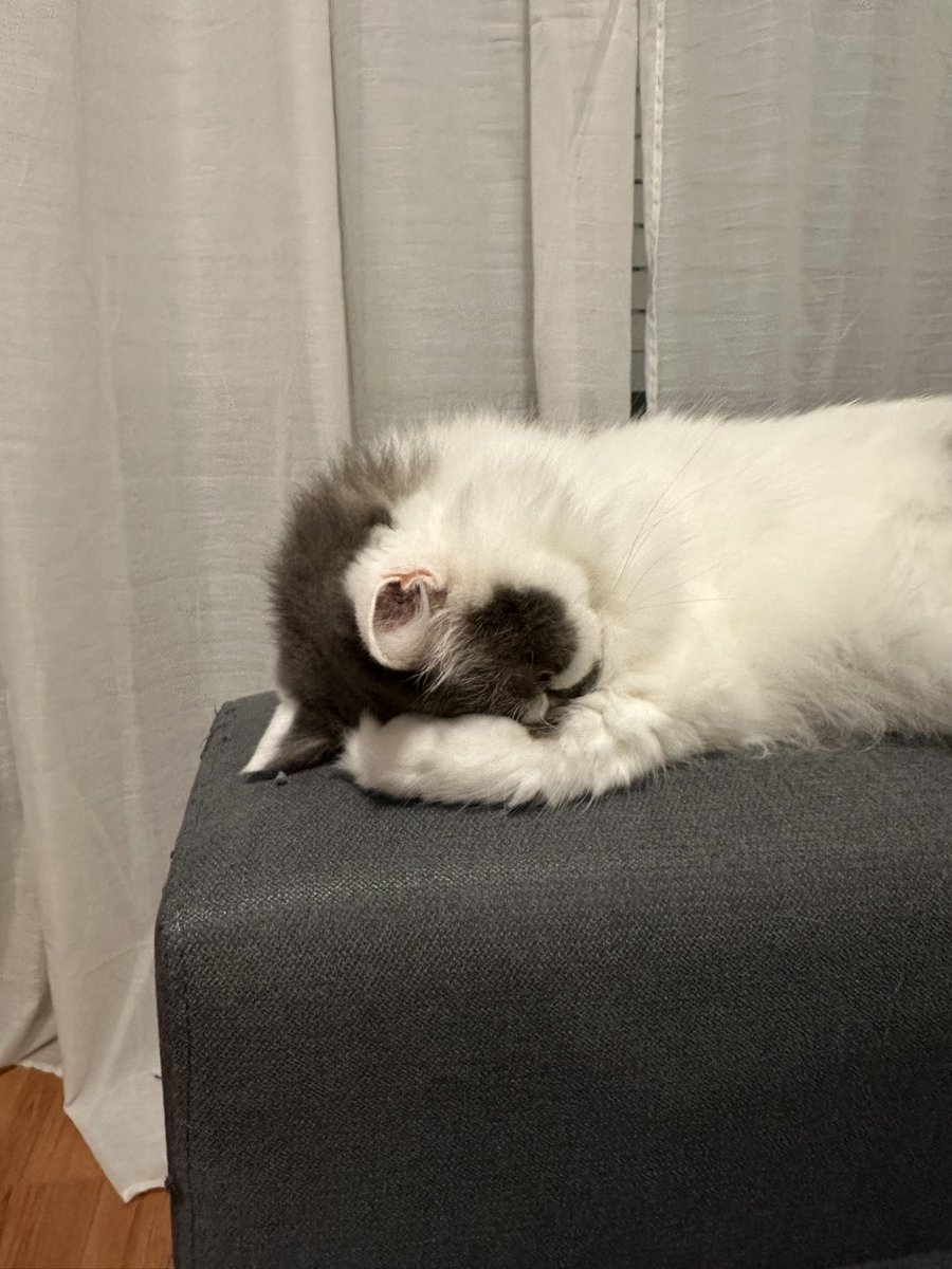 proibido acender luz nessa casa