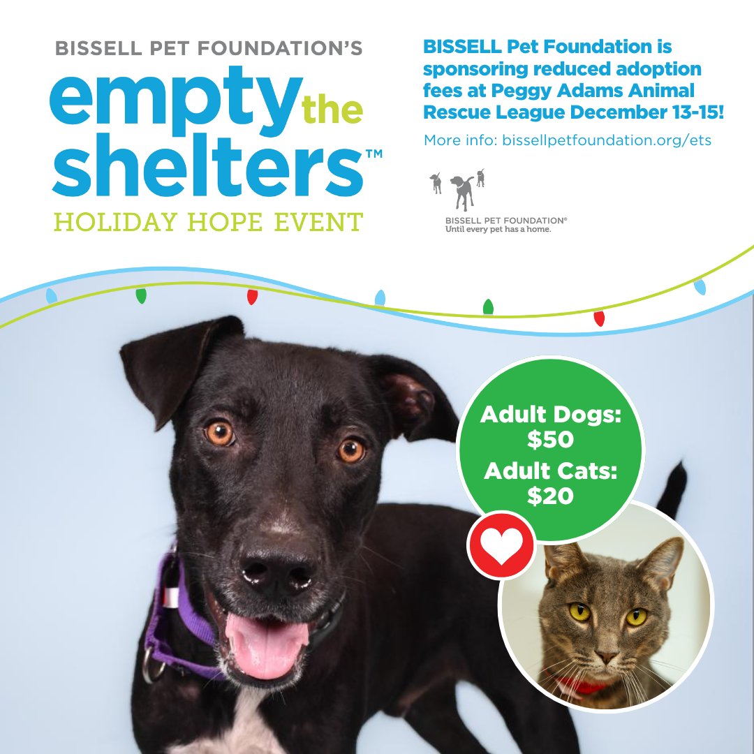 adoption fees will be reduced to...
🐱 $20 per cat
🐶 $50 per dog

If you've bee