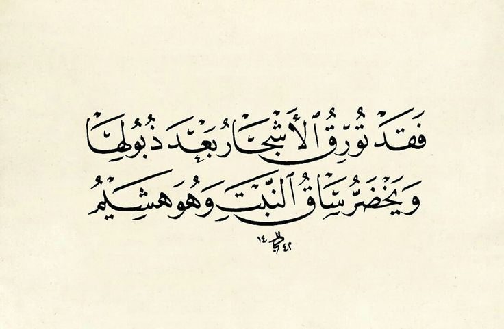 بيت شعر عربي كل يوم tweet media
