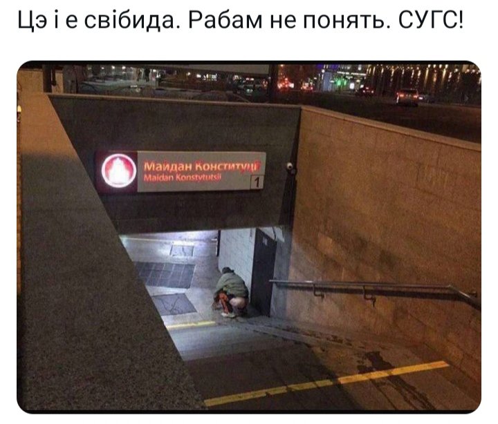 Aleksandr tweet media