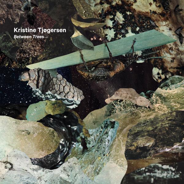 TrondErikson's tweet photo. En av våre virkelig flotte komponister treffer ører og sanser!
https://t.co/dLTjz3IBbE
#kristinetjøgersen 
#kringkastingsorkesteret 
#ensemblerecherche 
#ensembleneon 
#marcofusi 
#t��yenfilogklafferi https://t.co/fwu9hQDxG6